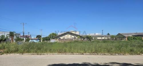 Imóvel 3910